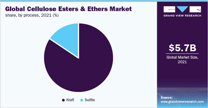 Global cellulose esters and ethers market share, by process, 2021 (%)