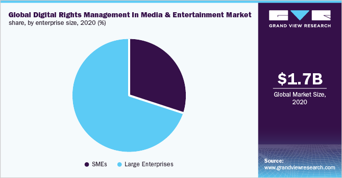 Global digital rights management in media & entertainment market share, by enterprise size, 2020 (%)