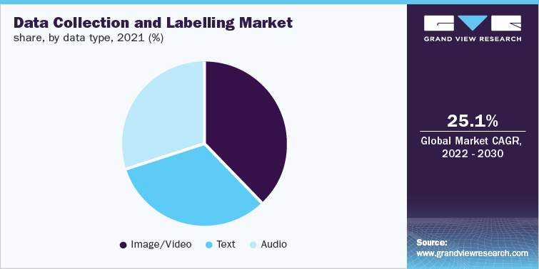 Data Collection and Labelling Market share, by data type, 2021 (%)