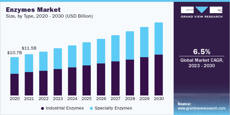 Enzymes Market size, by Type, 2020 - 2030 (USD Billion)