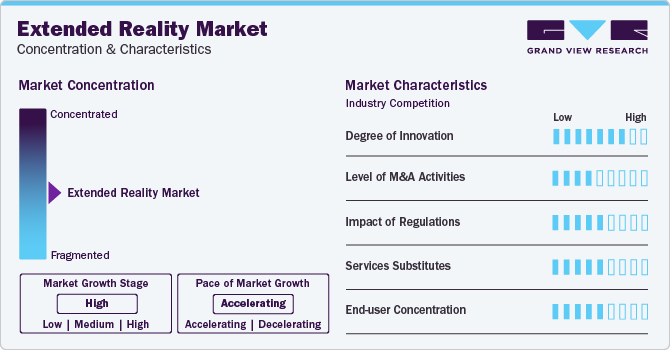Extended Reality Market Concentration & Characteristics
