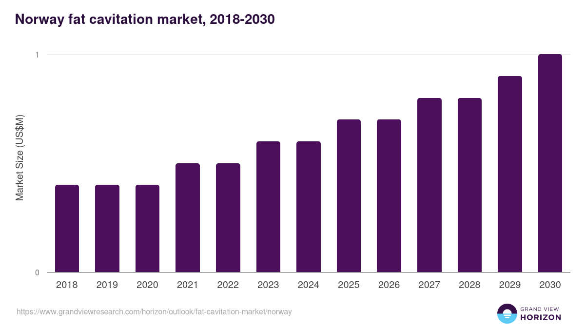 Norway fat cavitation market, 2018-2030 (US$M)