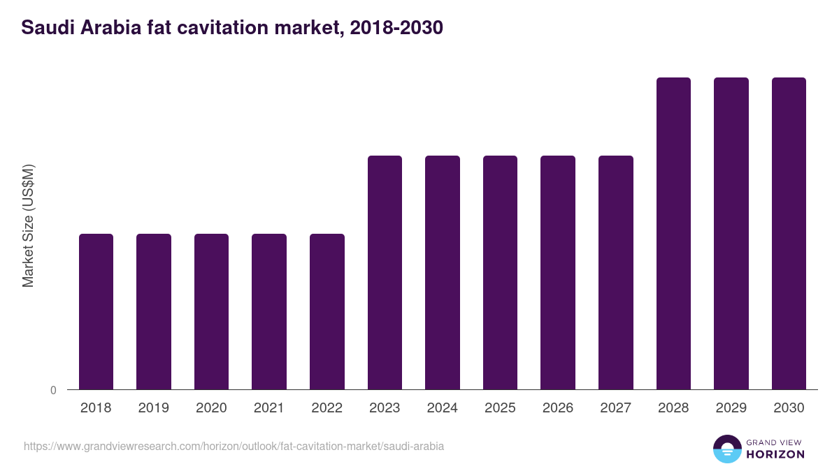 Saudi Arabia fat cavitation market, 2018-2030 (US$M)