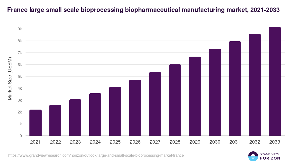 France large and small-scale bioprocessing market, 2021-2033 (US$M)