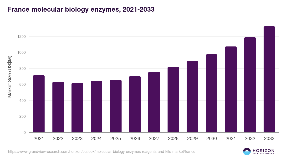 France molecular biology enzymes, reagents and kits market, 2021-2033 (US$M)