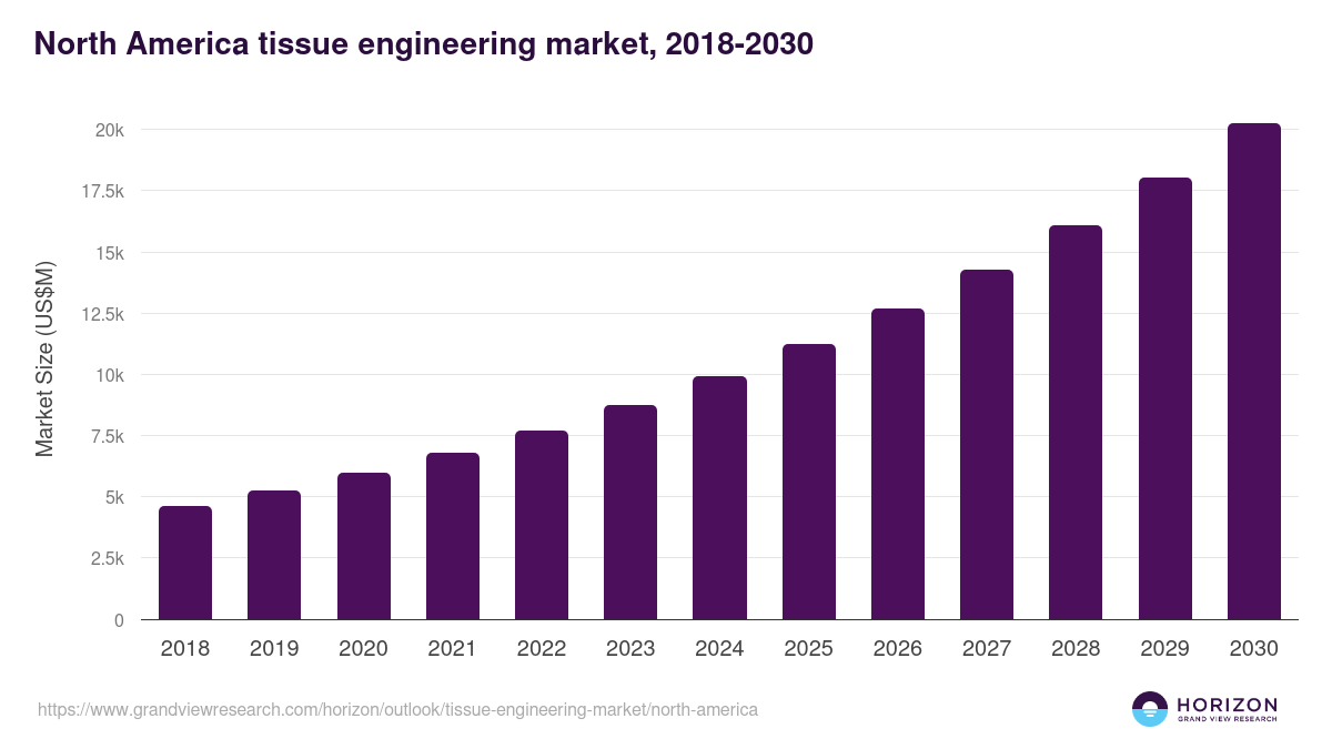 North America tissue engineering market, 2018-2030 (US$M)