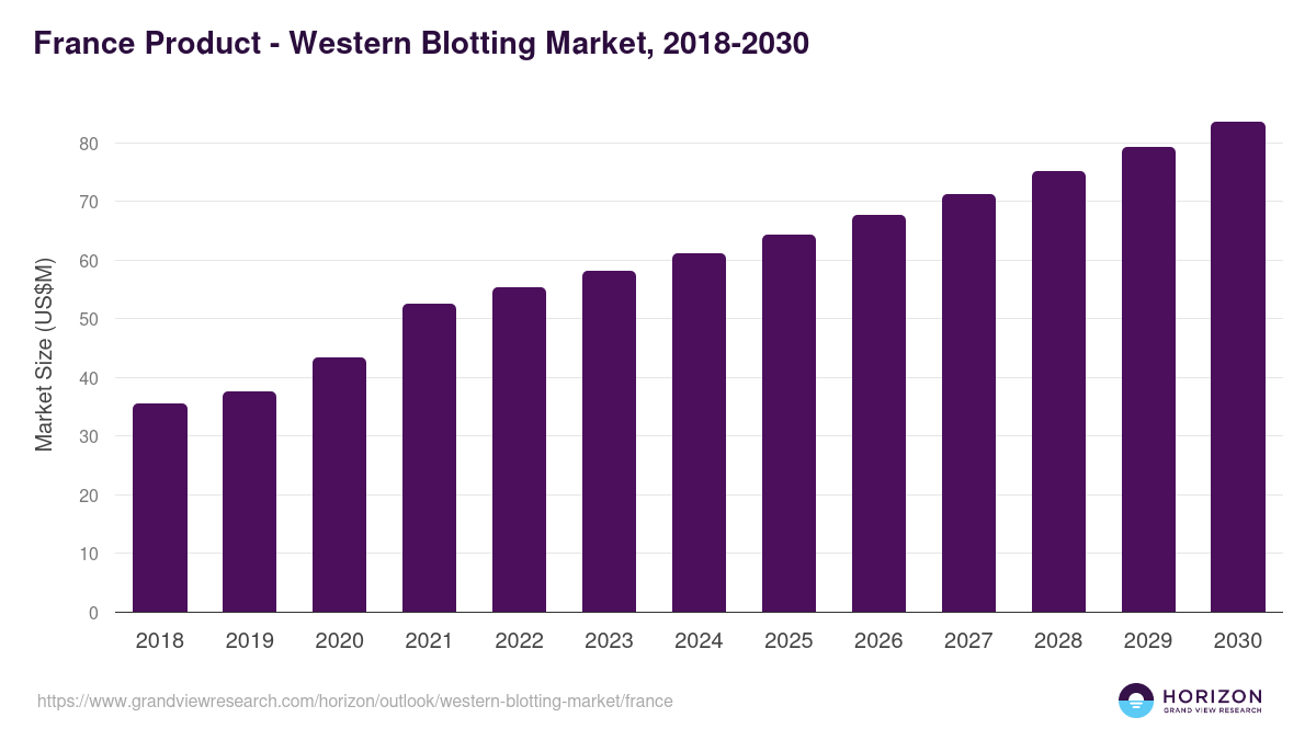 France western blotting market, 2018-2030 (US$M)