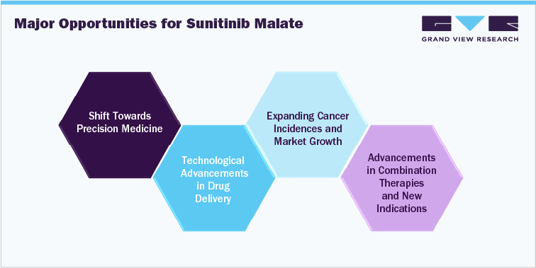 Major Opportunity For Sunitinib Malate