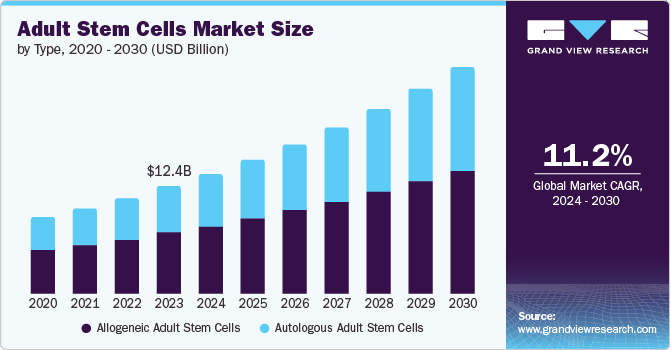 Adult Stem Cells Market size and growth rate, 2024 - 2030