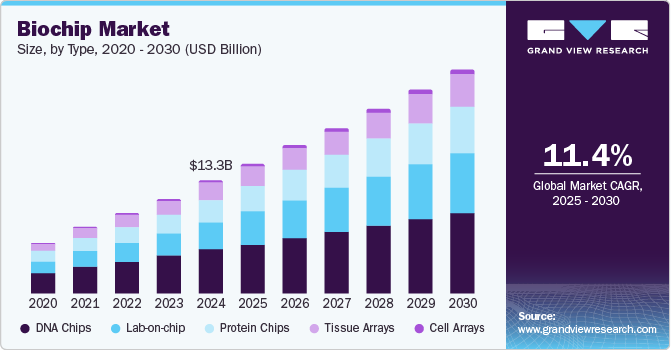 Biochip Market Size, By Type, 2020 - 2030 (USD Billion)