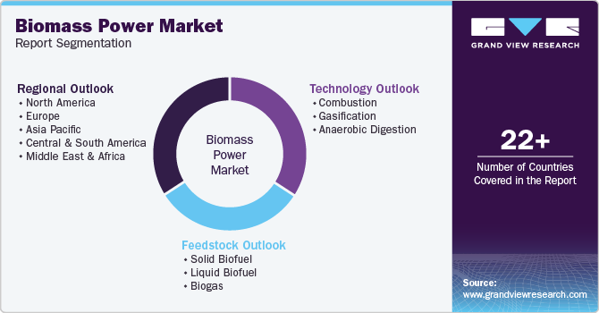 Biomass Power Market Report Segmentation