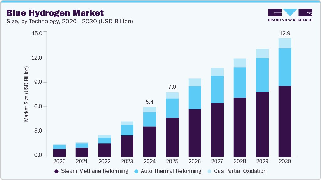 Blue hydrogen market size and growth forecast (2020-2030) Blue hydrogen market size and growth forecast (2020-2030)