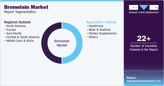 Bromelain Market Report Segmentation