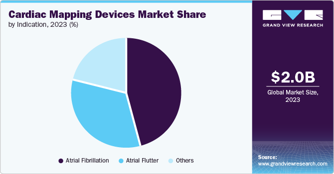 Cardiac Mapping Devices Market share and size, 2023