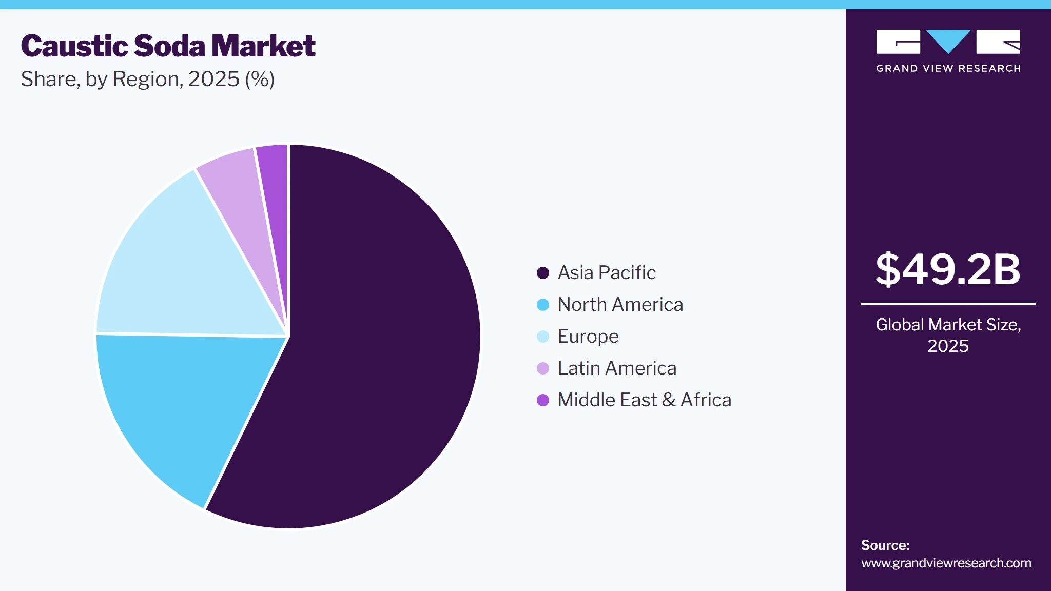 Caustic Soda Market Share Caustic Soda Market Share