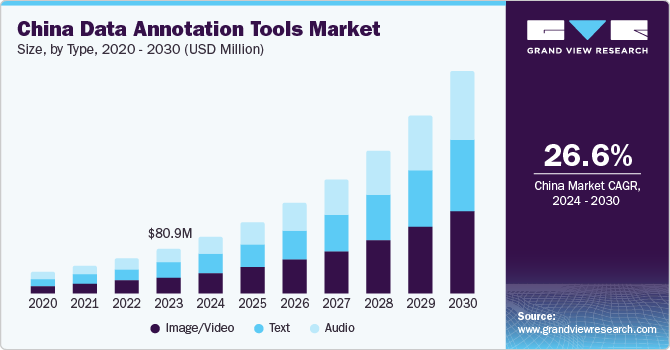 China Data Annotation Tools Market size and growth rate, 2024 - 2030