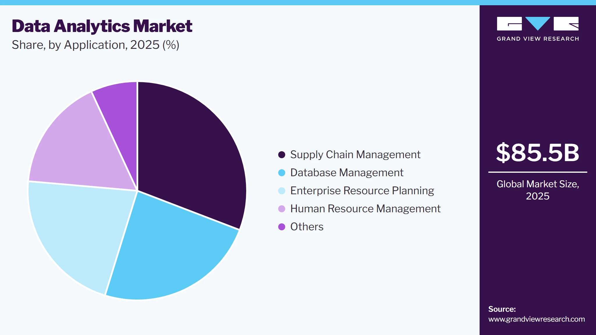 Data Analytics Market Share Data Analytics Market Share