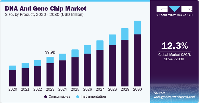 DNA And Gene Chip Market Size, by Product, 2020 - 2030 (USD Billion)