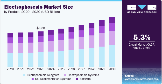 Electrophoresis Market size and growth rate, 2024 - 2030