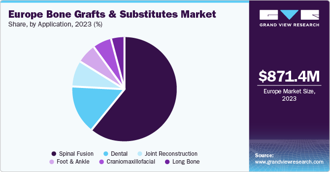 Europe Bone Grafts And Substitutes Market share and size, 2023