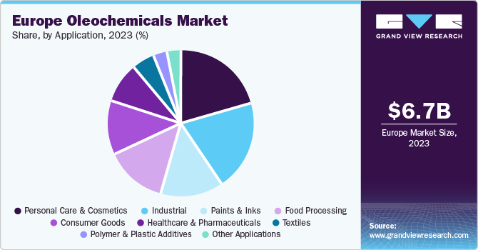 Europe Oleochemicals Market share and size, 2023