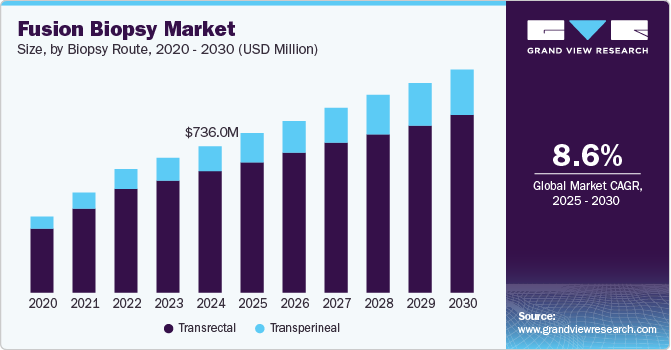 Fusion Biopsy Market Size, by Biopsy Route, 2020 - 2030 (USD Million)