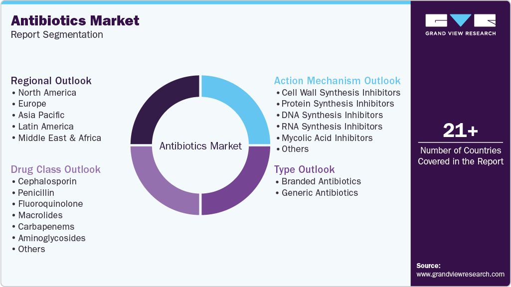 Global Antibiotics Market Report Segmentation Global Antibiotics Market Report Segmentation