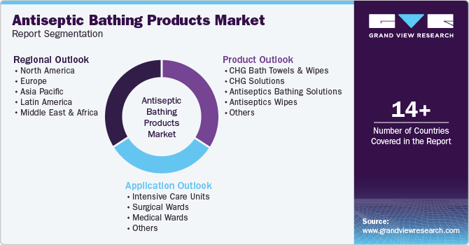 Global Antiseptic Bathing Products Market Report Segmentation