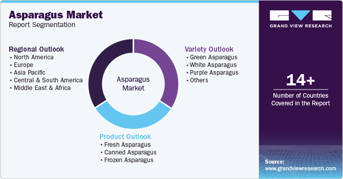 Global Asparagus Market Report Segmentation