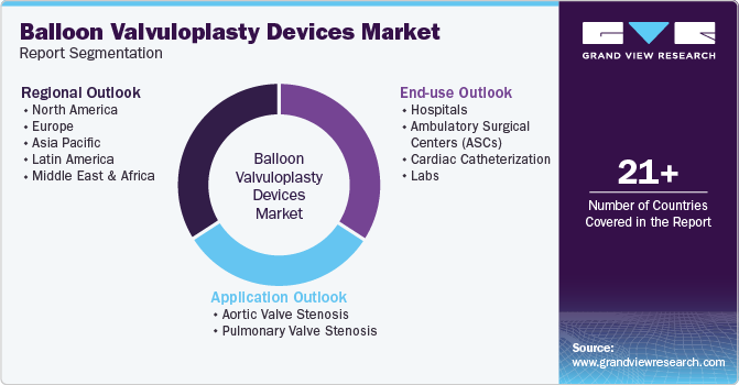 Global Balloon Valvuloplasty Devices Market Report Segmentation