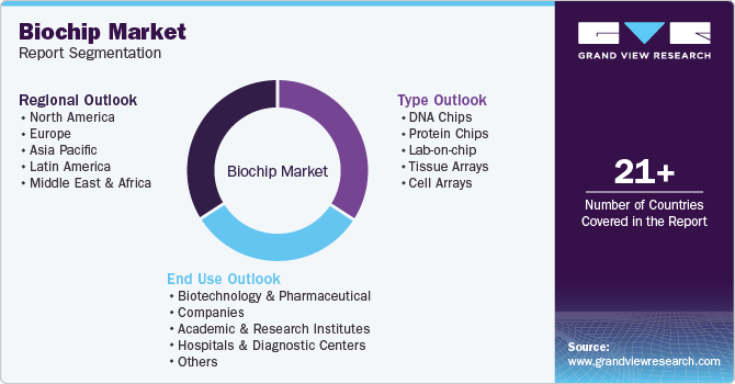 Global Biochip Market Report Segmentation