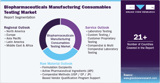 Global Biopharmaceuticals Manufacturing Consumables Testing Market Report Segmentation