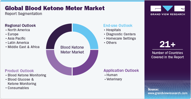 Global Blood Ketone Meter Market Report Segmentation
