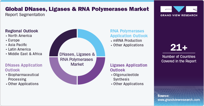 Global DNases, Ligases, and RNA Polymerases Market Report Segmentation
