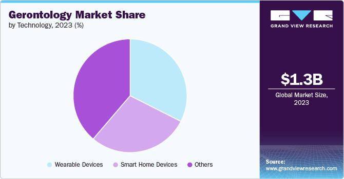 Global Gerontology Market share and size, 2023