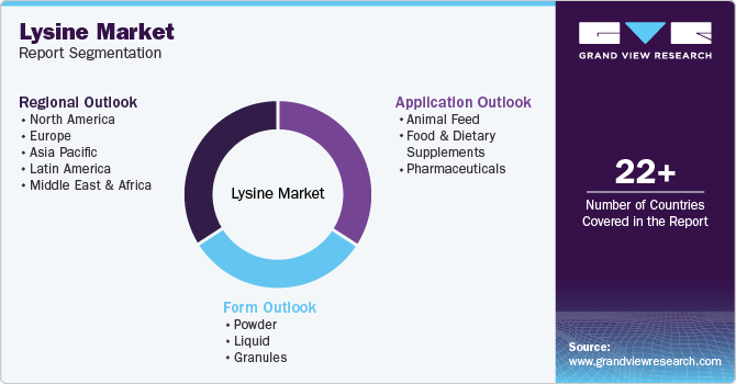 Global Lysine Market Report Segmentation