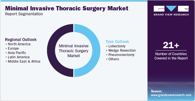 Global Minimal Invasive Thoracic Surgery Market Report Segmentation