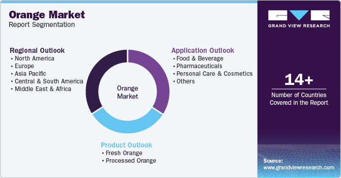 Global Orange Market Report Segmentation