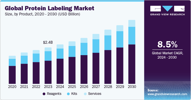 Global Protein Labeling market size and growth rate, 2024 - 2030