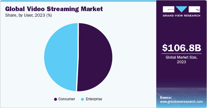 Global video streaming market share, by user, 2019 (%)