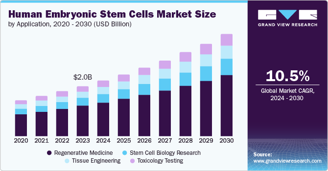 Human Embryonic Stem Cells Market Size by Application, 2020 - 2030 (USD Billion)