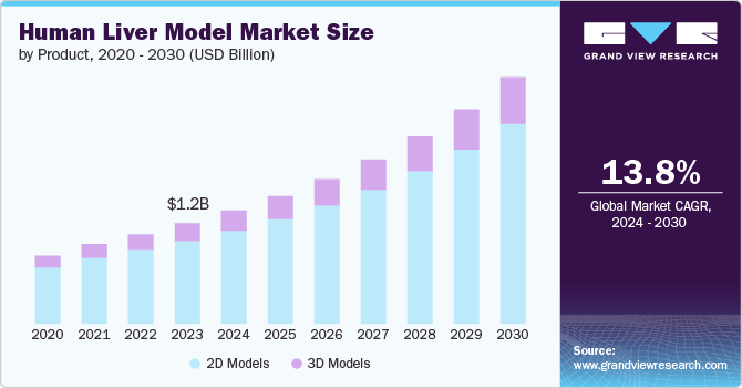 Human Liver Model Market size and growth rate, 2024 - 2030