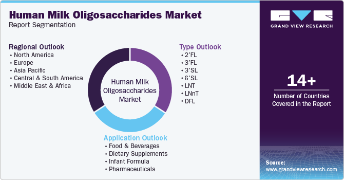 Human Milk Oligosaccharides Market Report Segmentation