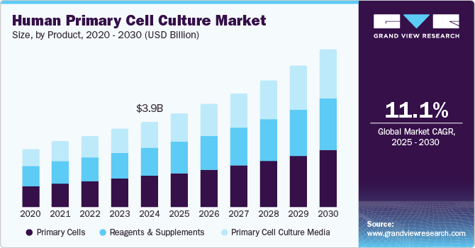 Human Primary Cell Culture Market Size, By Product, 2020 - 2030 (USD Billion) Human Primary Cell Culture Market Size, By Product, 2020 - 2030 (USD Billion)