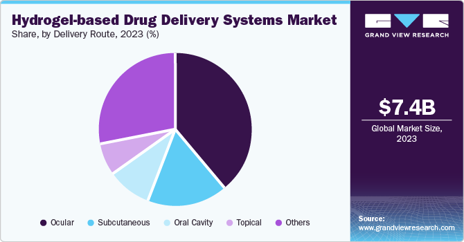 Hydrogel-based Drug Delivery Systems market share and size, 2023