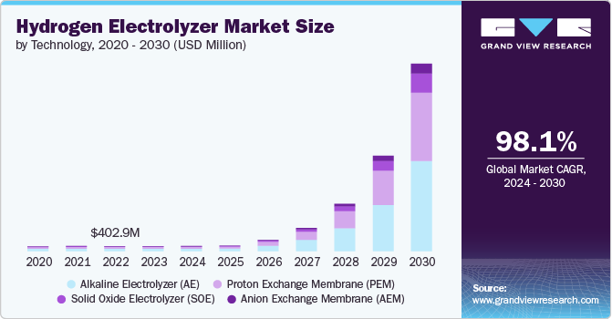 Hydrogen Electrolyzer Market size and growth rate, 2024 - 2030