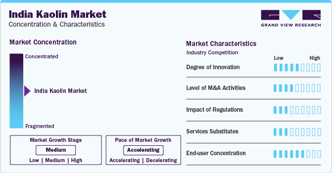 India Kaolin Market Concentration & Characteristics