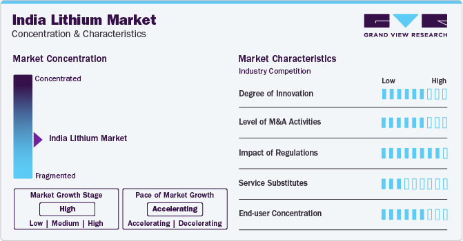 India Lithium Market Concentration & Characteristics