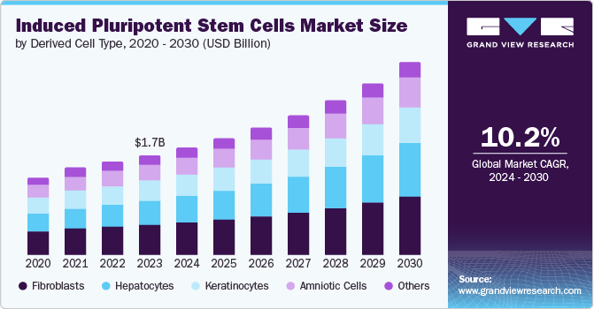 Induced Pluripotent Stem Cells Market Size by Derived Cell Type, 2020 - 2030 (USD Billion)