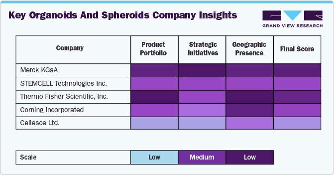 Key Organoids And Spheroids Company Insights Key Organoids And Spheroids Company Insights